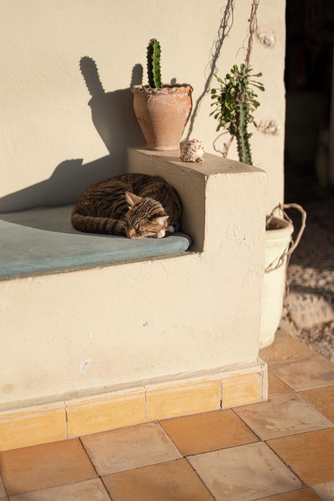 Dar Afoulky Maison D'Hotes Sidi Kaouki Kültér fotó